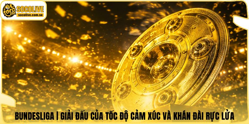 Bundesliga | Giải Đấu Của Tốc Độ Cảm Xúc Và Khán Đài Rực Lửa